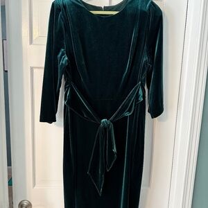 Adrianna Papell Emerald Velvet dress